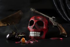 Contentus-Suis-Rebus