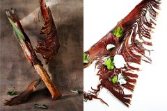 Extreme-Opposites_Color