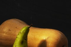 Zucchino-Two-Pears_2887_FT