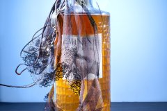 CR_B_8319_WITH-KNICKERS_52