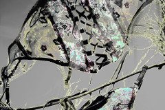 C_RNK_1185_BW_BEST-FLAT_FILTERED_X-1