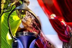 GB_Curtain_6744_NO-CABBAGE_FT