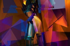 HoH_11_Final_ARLEQUINCB_Flat