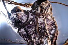 L_BLOOD_0398_FLAT_BLOOD