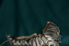 CCC_7578_Merged-BckDrp_FT