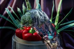 CP_B_8154_LEOPARD_TWO-B