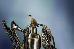 C_BD_0186_0145_FT_FT