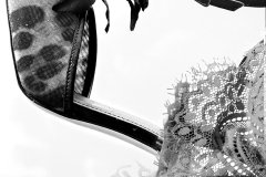 GLC_Red-Lace_7207_CROP_FT_BW-1