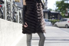 Diomi_4_2403_CROP_FT