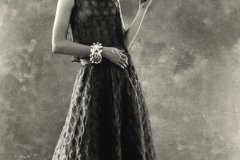 Flamingo_Anversdarklady