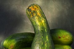 1_Two-PK_1649_HL_1656_No-Palm-Leaves