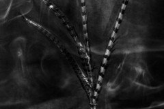 A-headacky-dawn_BW_NO-TEXT-scaled