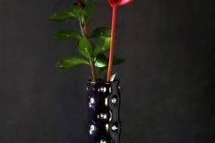 AS28_0415BQ_BE_FT-scaled