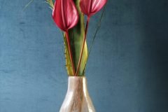 Anthorium-Skull_0418BD_FT-scaled