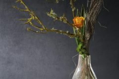 BR50_0429DJ_DK_DI_DF_CY_FT-scaled