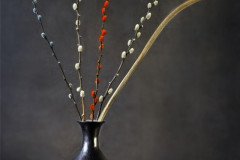 DRY38_Base_0421AB_FT-scaled