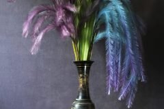 Feathers_Yes37_0419EB_FT-scaled