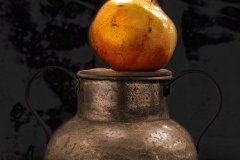 Granada_HiLights_2779_A_FT