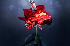 R_DRK-BDRP_0196_FT_HOMOT