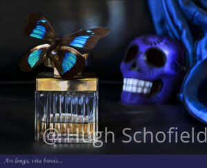 Ars Longa, Vita Brevis – Vanitas Still Life Art Print