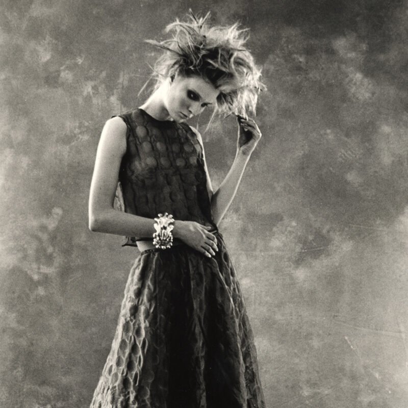 Flamingo_Anversdarklady_52