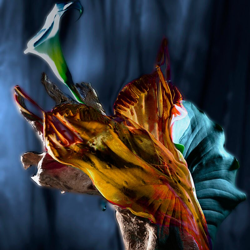 LOG & LEAF_9298_FT_52