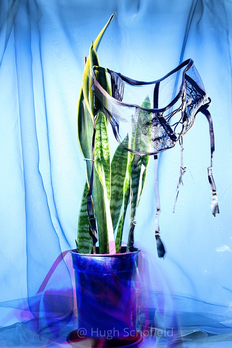 Pop Surreal Wall Art – Botanical Fashion Statement