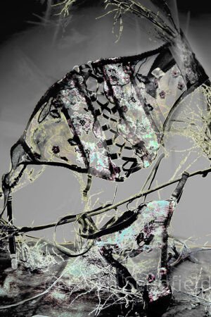 Fragments of Desire – Conceptual Lingerie Art Print