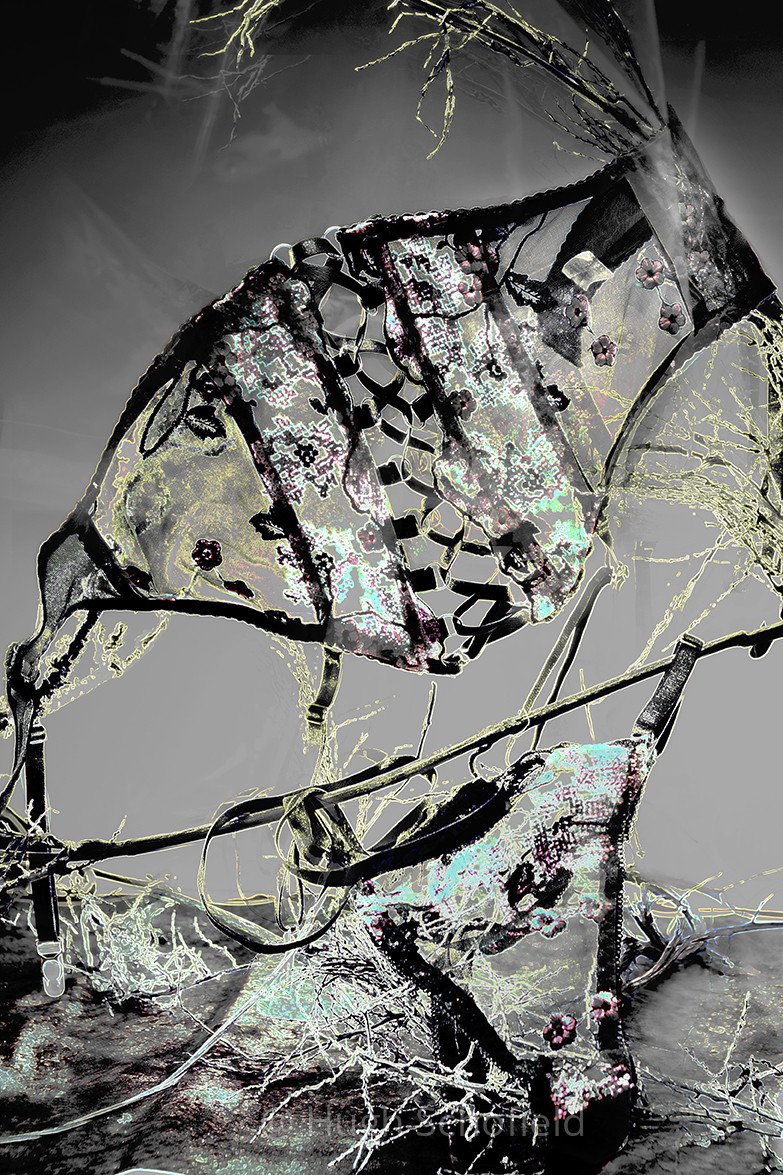 Fragments of Desire – Conceptual Lingerie Art Print