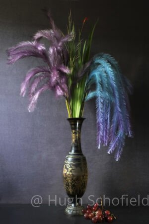 Exotic Plumes – Contemporary Still Life Art Print