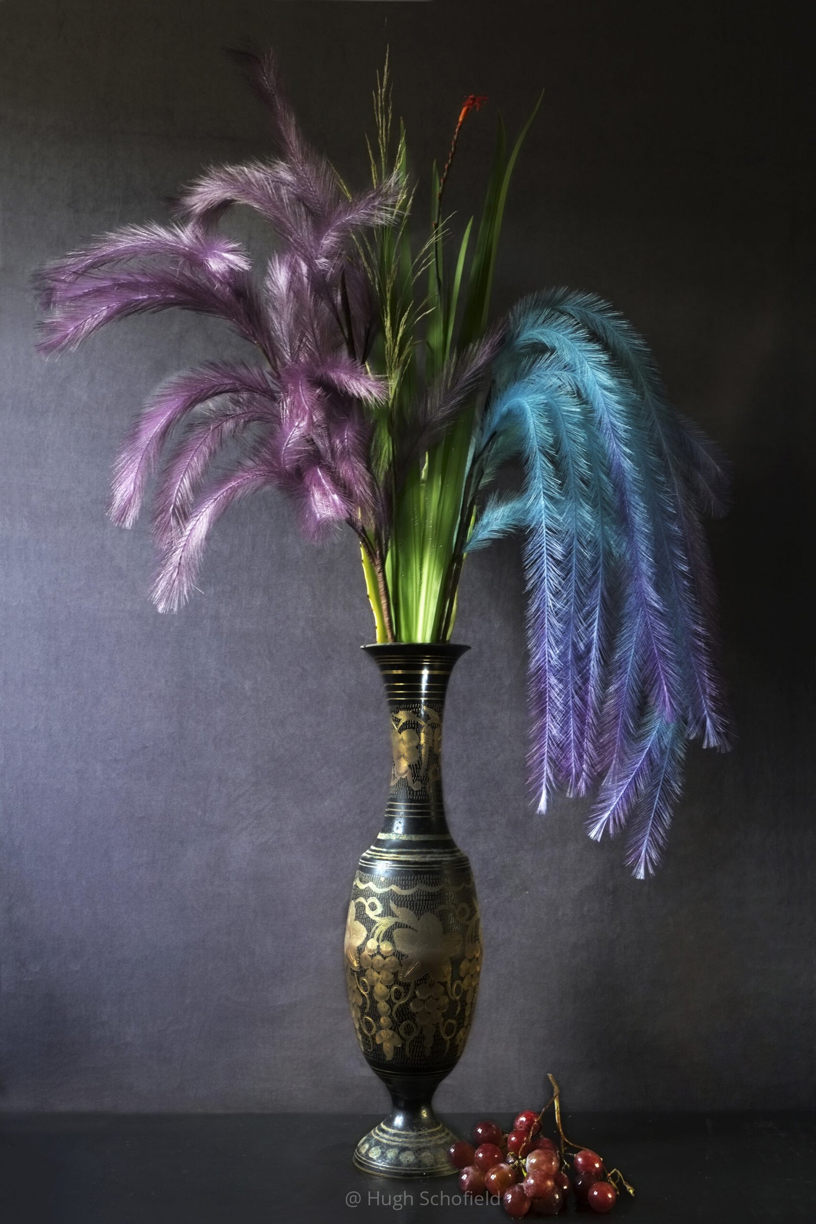 Exotic Plumes – Contemporary Still Life Art Print