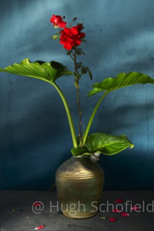 Velvet Silence – Black and White Fine Art Portrait Print