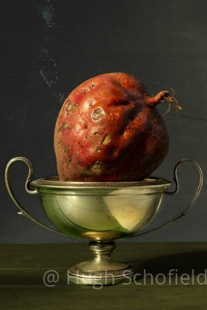 Contemporary Still Life Wall Art – Rustic Elegance Fine Art Print