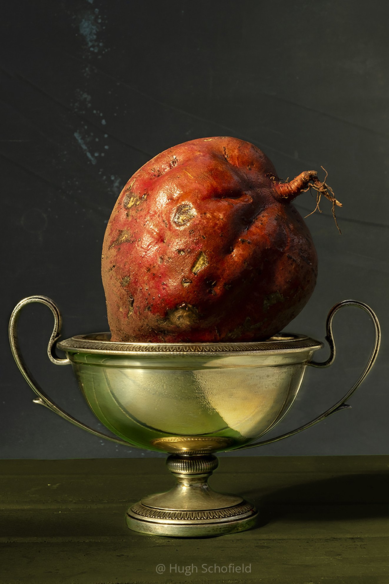 Contemporary Still Life Wall Art – Rustic Elegance Fine Art Print