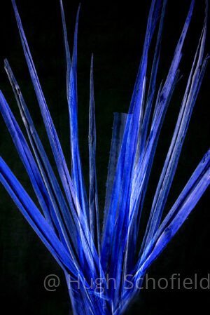 Blue Botanical Wall Art – Modern Abstract Print